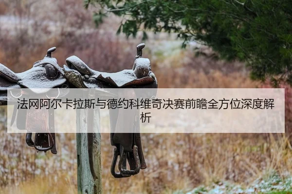 法网阿尔卡拉斯与德约科维奇决赛前瞻全方位深度解析
